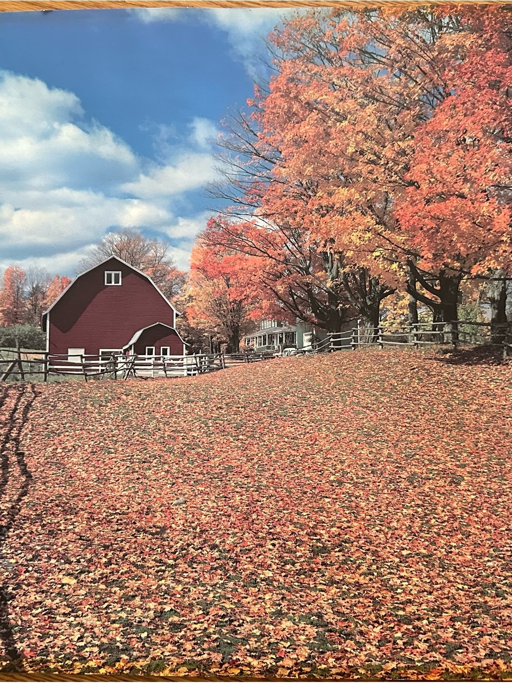Autumn/Fall Red Barn Wall Art Print - Rustic Fall Landscape